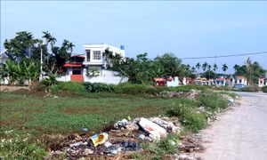 Hưng Yên lên các phương án xử lý rác thải