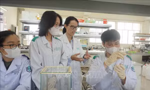 Ngày Phụ nữ Việt Nam 20/10: Nữ Tiến sĩ trẻ với hơn 60 công bố quốc tế