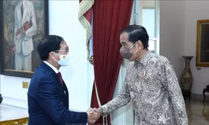 Bộ trưởng Ngoại giao Bùi Thanh Sơn tiếp kiến Tổng thống Indonesia