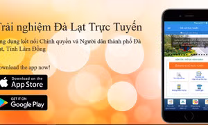 Đà Lạt tiếp nhận, xử lý phản ánh của tổ chức, cá nhân qua ứng dụng trực tuyến