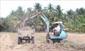 Người dân ồ ạt bán đất mặt ruộng mặc hệ lụy ảnh hưởng đến cây trồng
