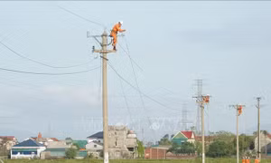 Điện lực miền Bắc yêu cầu lập đội xung kích sẵn sàng cơ động ứng phó bão số 11