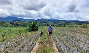 Thay đổi nếp nghĩ, cách làm giúp đồng bào dân tộc thiểu số thoát nghèo