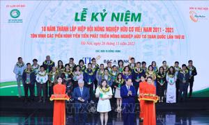 Phát triển nông nghiệp hữu cơ vì tính bền vững của môi trường sinh thái