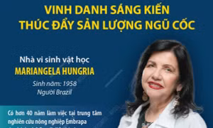 Giải thưởng Lương thực Thế giới 2025 vinh danh sáng kiến thúc đẩy sản lượng ngũ cốc