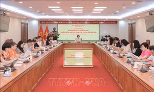 Ban Chỉ đạo 35 TTXVN sơ kết 6 tháng đầu năm và triển khai nhiệm vụ 6 tháng cuối năm 2026
