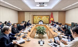 Khắc phục những 'điểm nghẽn' để hỗ trợ doanh nghiệp vươn ra thị trường quốc tế