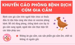 Khuyến cáo phòng bệnh dịch cúm gia cầm