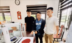 Khởi tố 4 đối tượng trong đường dây mua bán ma túy liên tỉnh, thu giữ 11.600 viên ma tuý tổng hợp
