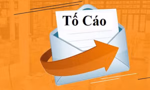 Quy định về xử lý kỷ luật đối với người tố cáo là cán bộ, công chức, viên chức