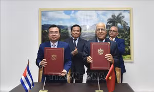 Việt Nam, Cuba hợp tác cùng phát triển qua cơ chế Ủy ban Liên chính phủ
