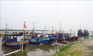 Ninh Bình thực hiện cấm biển trước 5 giờ ngày 22/8