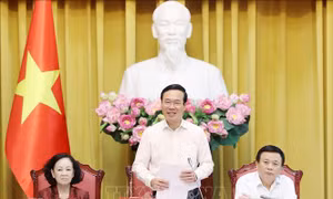 Chủ tịch nước chủ trì phiên họp thứ nhất Ban Chỉ đạo tổng kết lý luận và thực tiễn 40 năm đổi mới