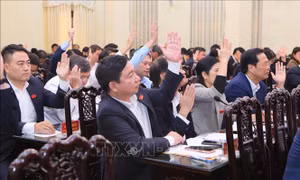 Chủ tịch HĐND và UBND tỉnh Nam Định đều có 100% số phiếu tín nhiệm cao