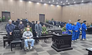 Cựu Chủ tịch Vicem bị phạt 13 năm tù do gây thất thoát, lãng phí 380 tỷ đồng