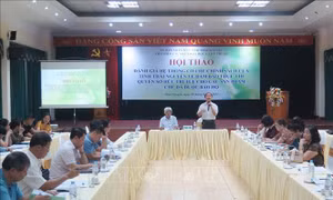 Đảm bảo thực thi quyền sở hữu trí tuệ đối với sản phẩm chè