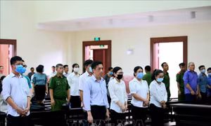 Tòa phúc thẩm giữ nguyên mức án sơ thẩm vụ VN Pharma nhập khẩu thuốc chữa ung thư giả