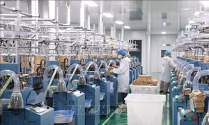 Nghị quyết số 10-NQ/TW: Động lực 'hút' FDI vào kinh tế xanh