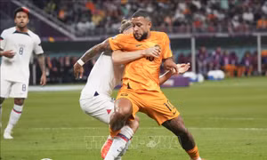 World Cup 2022: Niềm tin của HLV Van Gaal cho Depay