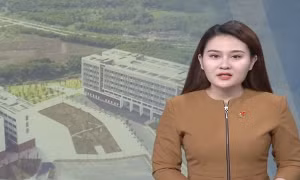 Kiến nghị cấp bù kinh phí khi chưa tăng học phí