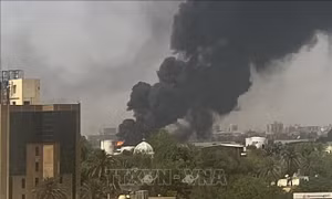 Liên đoàn Arab kêu gọi ngừng bắn ngay lập tức ở Sudan