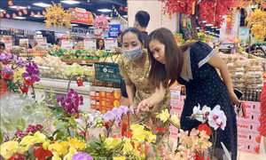 Cao điểm thị trường Tết, sức mua hoa không có nhiều đột biến