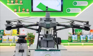 Hội chợ mùa thu 2025: Định hình tương lai xuất khẩu Việt