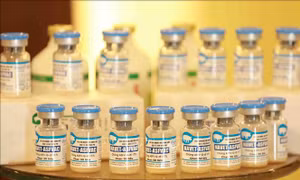 Vaccine dịch tả lợn châu Phi được phép sử dụng rộng rãi trên cả nước