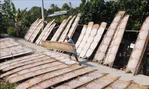 Làng nghề bánh tráng hối hả sản xuất cung ứng cho Tết