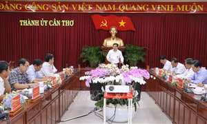 Dồn lực cho khởi công cao tốc Châu Đốc - Cần Thơ - Sóc Trăng