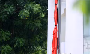 Nhiều hoạt động tình nguyện của tuổi trẻ Thủ đô thiết thực hướng về Lễ Quốc tang