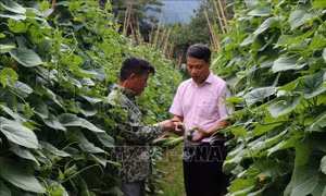Nguồn vốn chính sách tiếp sức xây dựng nông thôn mới