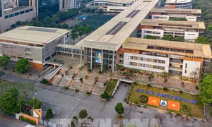 Chuẩn hóa giáo dục chuyên, tạo nền tảng phát triển nhân tài quốc gia