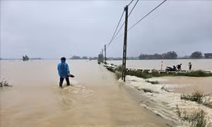Hà Nội: Hàng trăm người dân được huy động ứng phó với lũ sông Bùi