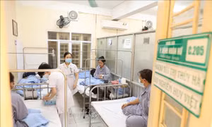 Hà Nội ghi nhận 2.020 trường hợp mắc sốt xuất huyết tại 115/126 phường, xã