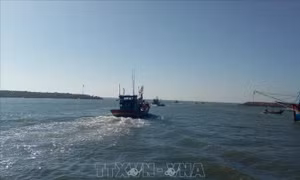 Tìm kiếm 5 ngư dân mất tích do gặp nạn trên vùng biển Khánh Hòa 