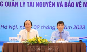 Tận dụng cơ hội để hướng tới nền kinh tế xanh, carbon thấp