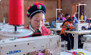 Tạo bước đột phá, giảm nghèo bền vững ở vùng cao Hà Giang