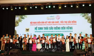 Kết nối sản xuất, tiêu thụ, xây dựng hệ sinh thái sầu riêng bền vững