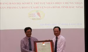 Công bố Văn bằng bảo hộ sở hữu trí tuệ cho sản phẩm Cà rốt của Bắc Ninh