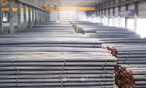 Hoa Kỳ kết luận ống thép từ Việt Nam không lẩn tránh thuế phòng vệ thương mại