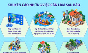 Khuyến cáo những việc cần làm sau bão