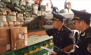 Hải quan liên tiếp phát hiện hàng giả, hàng nhái tại các cửa khẩu phía Bắc