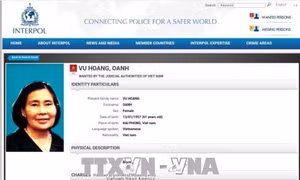 Khởi tố 37 đối tượng trong đường dây ma túy do Vũ Hoàng Oanh cầm đầu