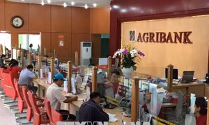 Cổ phần hoá Agribank: Chậm để tiến xa