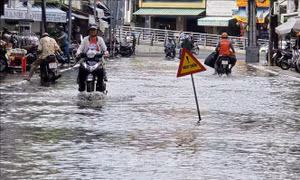 Chủ động theo dõi, ứng phó tình hình mưa to kết hợp thủy triều dâng cao