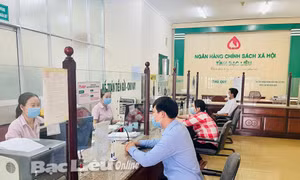 Bạc Liêu: Hỗ trợ doanh nghiệp và thúc đẩy lưu thông tiêu thụ hàng hóa