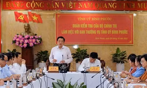 Bình Phước xây dựng kế hoạch bồi dưỡng, phát triển cán bộ trẻ