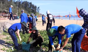 Trên 700 đoàn viên vệ sinh môi trường bãi biển Thiên Cầm