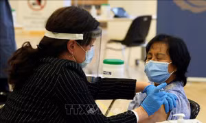 Canada: Phát hiện ca đầu tiên nhiễm biến thể BA.2.86 của SARS-CoV-2 